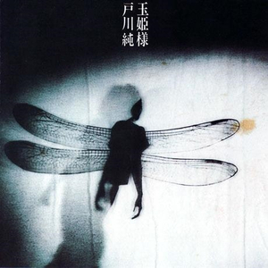 免费黄色短视频
